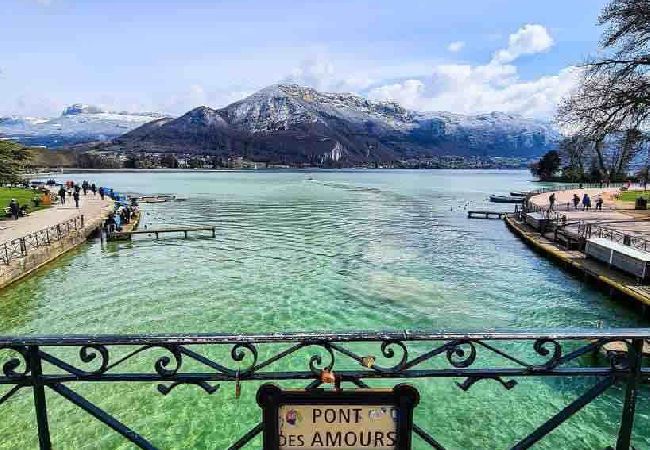 Studio à Annecy-le-Vieux - Deliciosa parking vue splendide plage à 10min