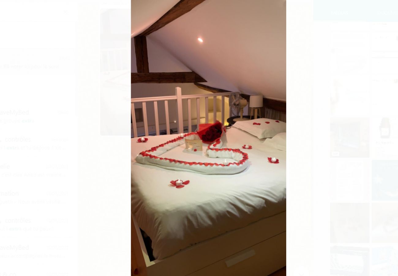 Appartement à Annecy - Cocoon 1 min romantique