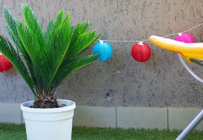 Appartement à Annecy - Palm Beach romantique jacuzzi Appartement à Annecy - Palm Beach romantique jacuzzi