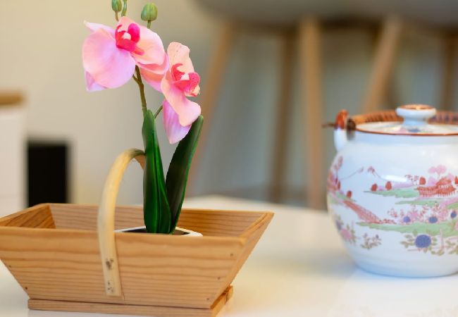 Appartement à Annecy - Palm Beach romantique jacuzzi Appartement à Annecy - Palm Beach romantique jacuzzi