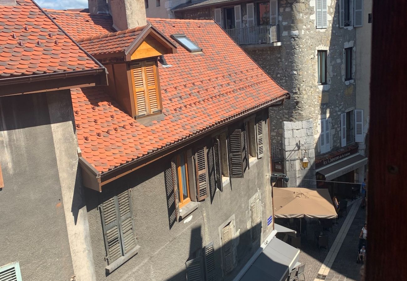 Appartement à Annecy - Perle du lac au coeur de la vieille ville