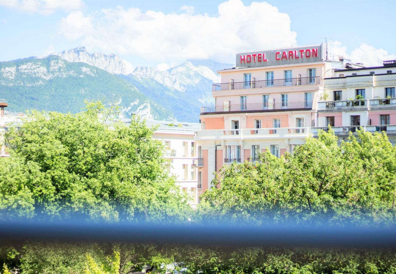 Appartement à Annecy - Central Park au centre ville, appareil raclette