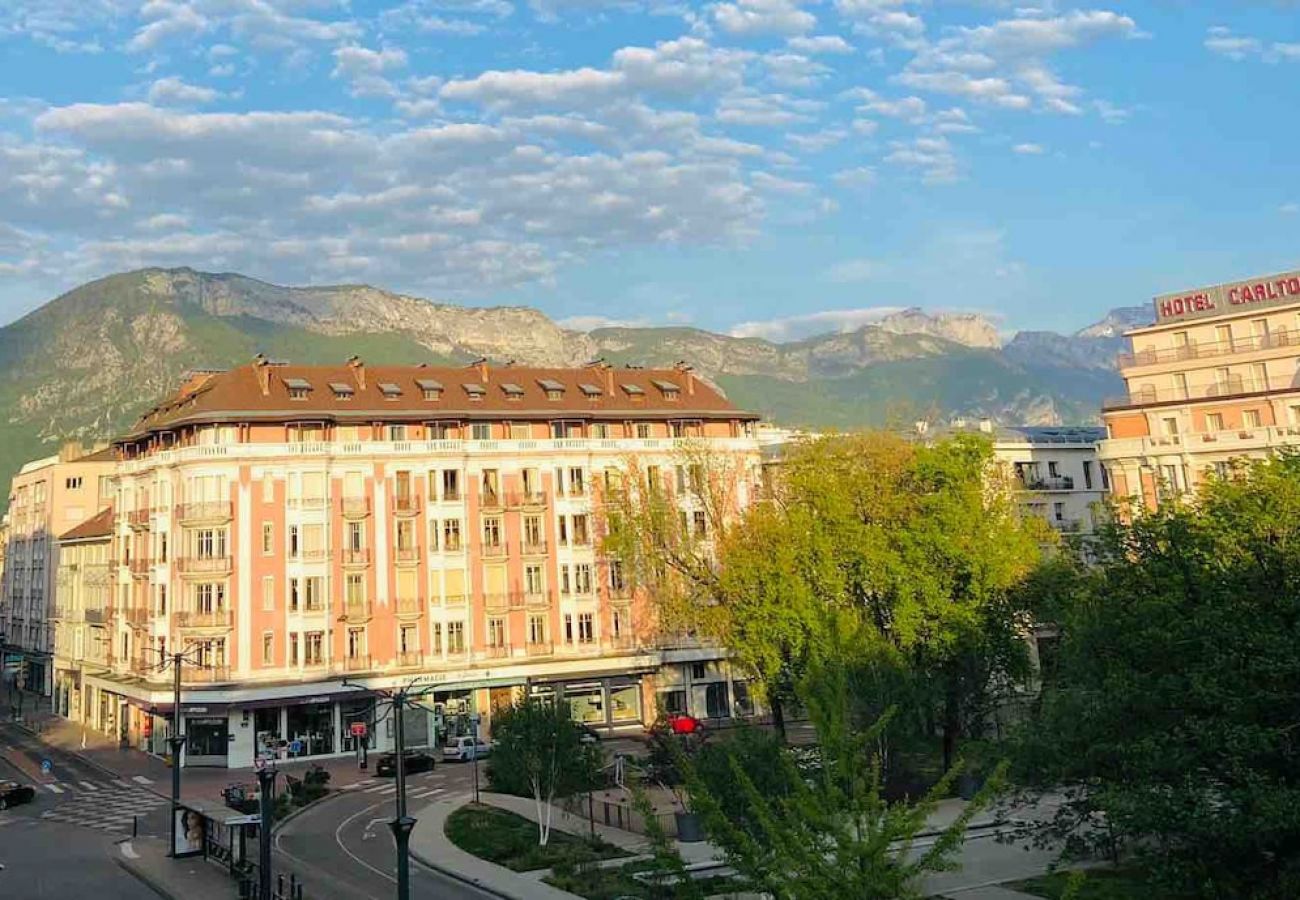 Appartement à Annecy - Central Park au centre ville, appareil raclette