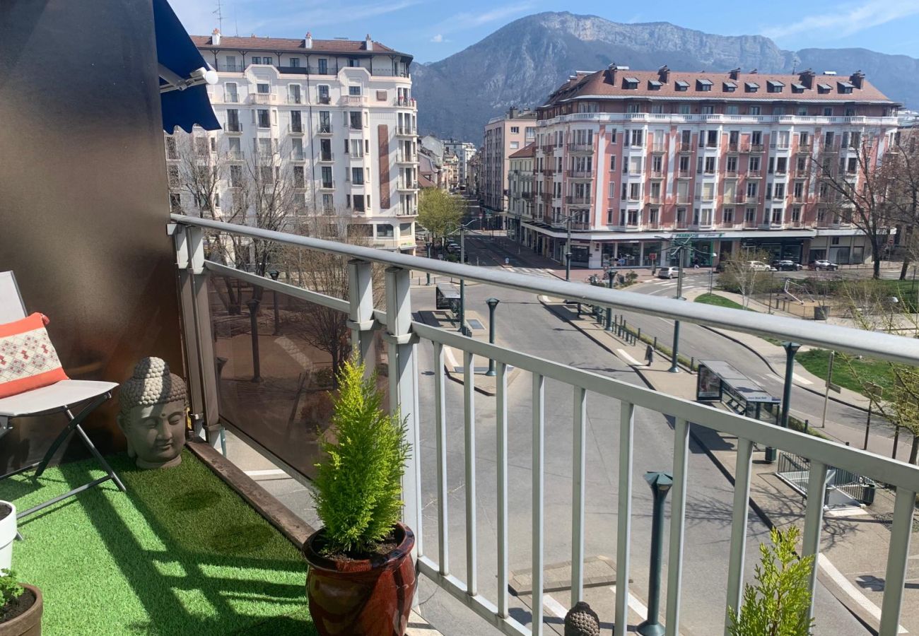 Appartement à Annecy - Central Park au centre ville, appareil raclette