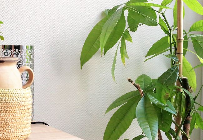 Appartement à Annecy - L Annex au cœur du centre ville Appartement à Annecy - L Annex au cœur du centre ville