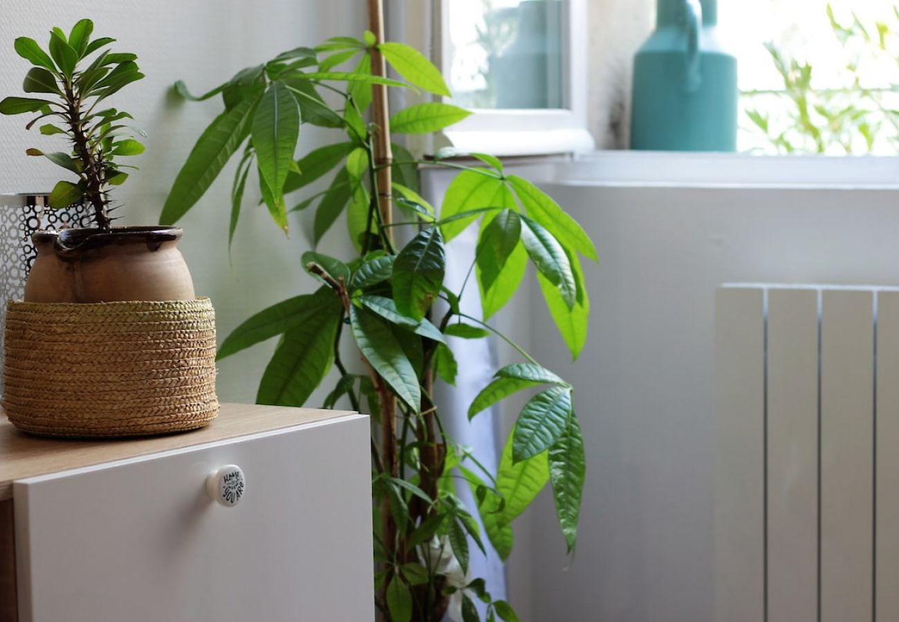 Appartement à Annecy - L Annex au cœur du centre ville