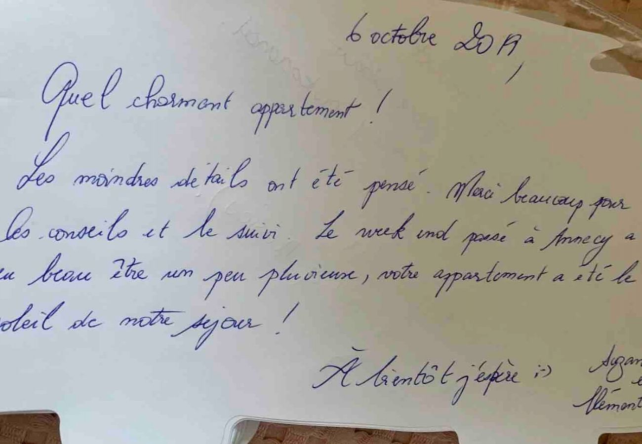 Appartement à Annecy - L Annex au cœur du centre ville