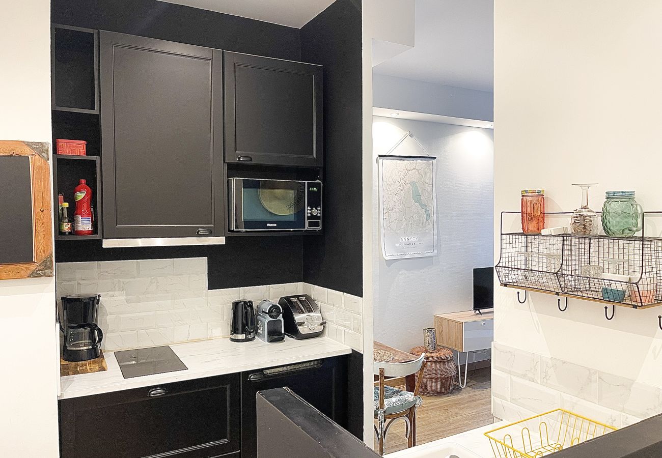 Appartement à Annecy - L Annex au cœur du centre ville