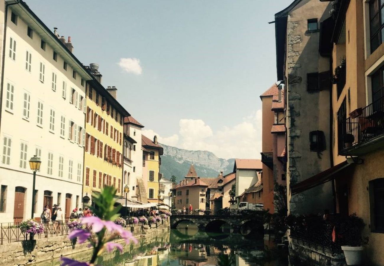 Appartement à Annecy - Filaterie vieille ville  romantique