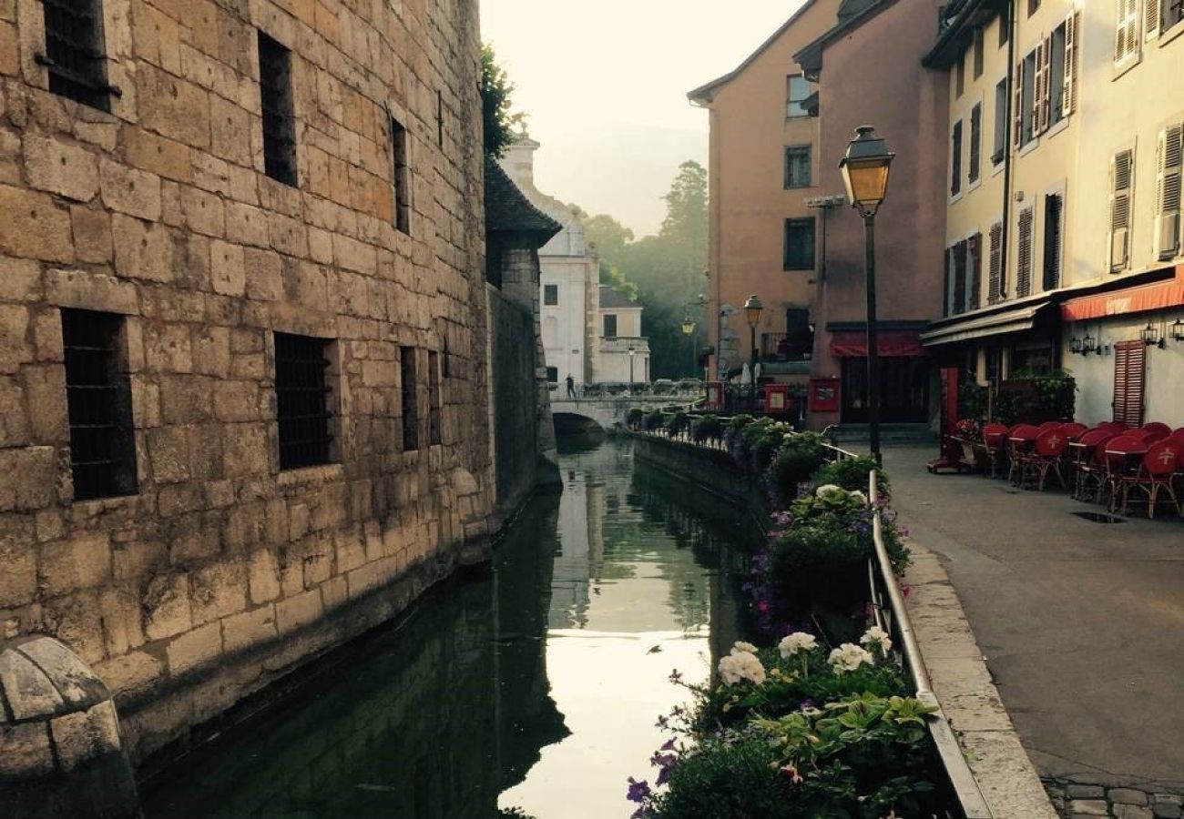 Appartement à Annecy - Filaterie vieille ville  romantique