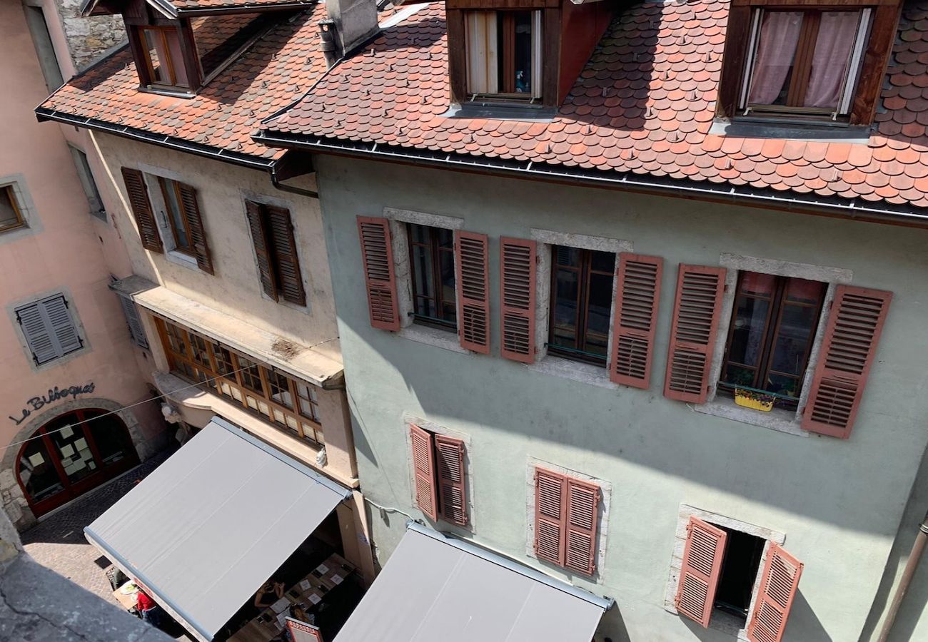 Appartement à Annecy - Nemours du château emplacement de rêve