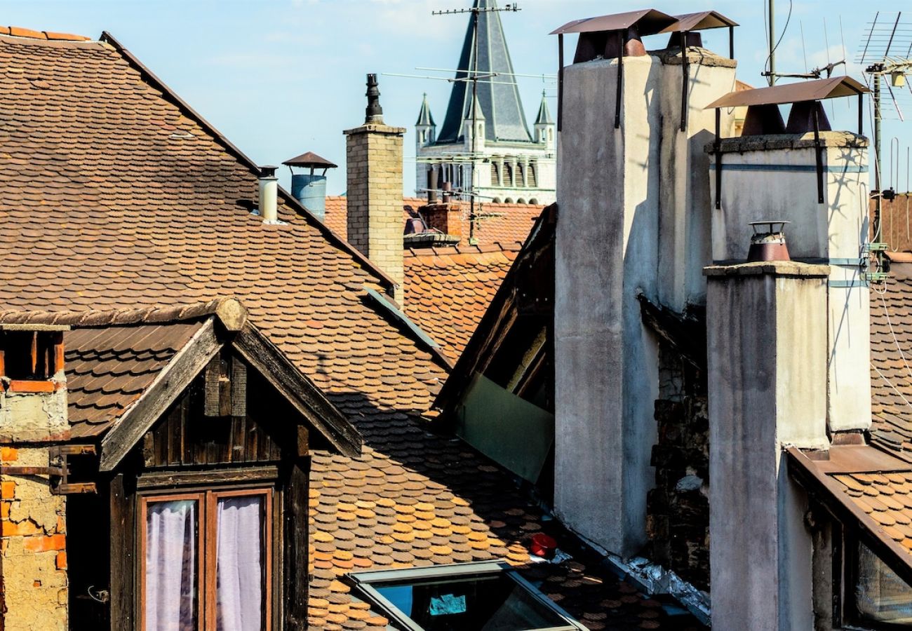 Studio à Annecy - Milano vue incroyable sur la cathédrale