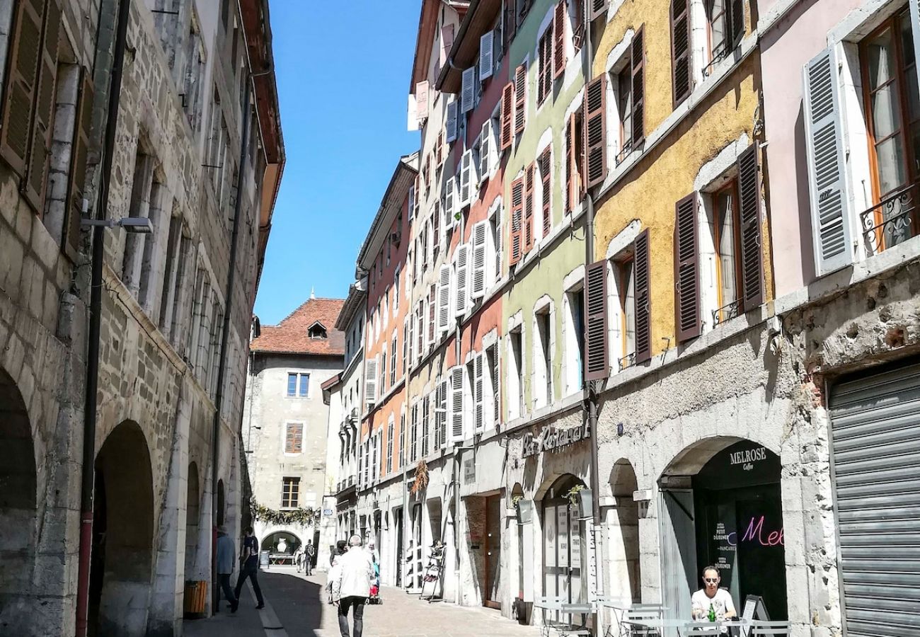 Appartement à Annecy - Manoir 2 chambres vieille ville