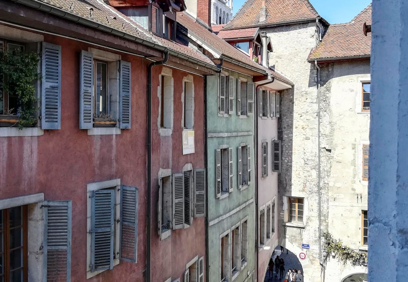 Appartement à Annecy - Manoir ❤  2 chambres vieille ville !