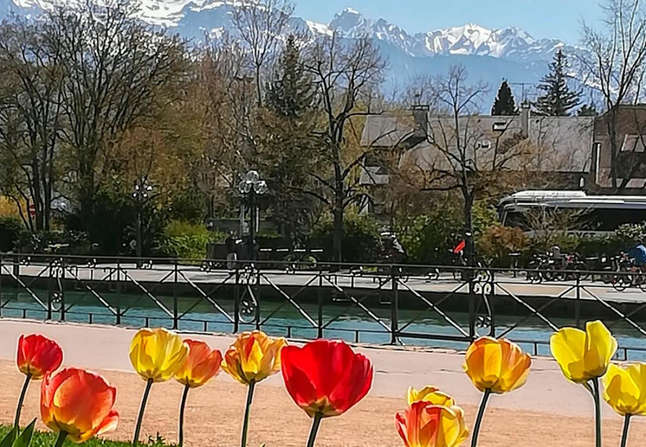 Appartement à Annecy - Manoir 2 chambres vieille ville