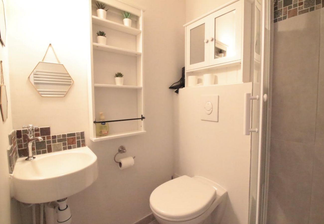 Appartement à Annecy - Petit biscuit coté vieille ville