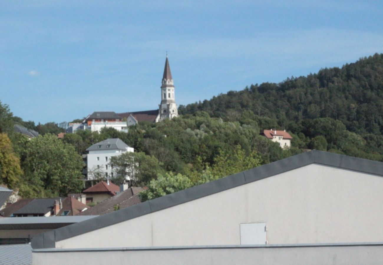 Appartement à Annecy - Petit biscuit coté vieille ville