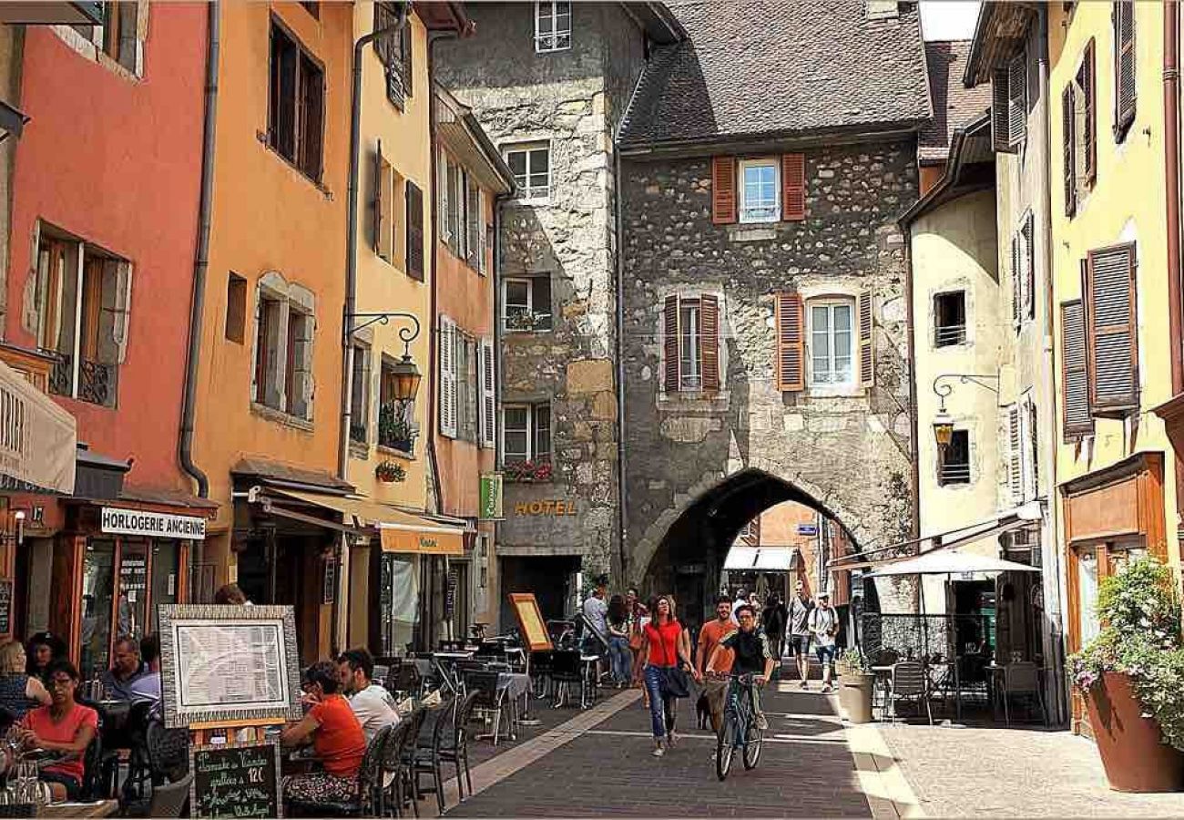 Appartement à Annecy - Petit biscuit coté vieille ville
