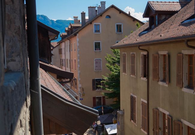 Appartement à Annecy - All seasons rue de l ile romantique