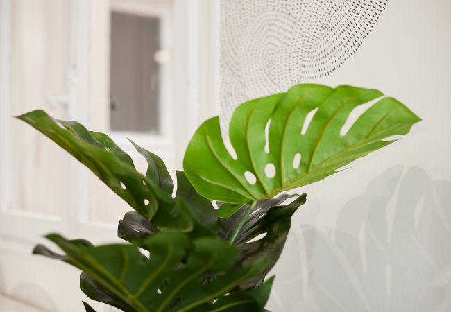 Appartement à Annecy - Florida emplacement idéal parking privé Appartement à Annecy - Florida emplacement idéal parking privé