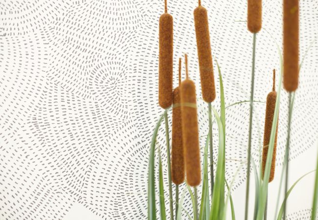 Appartement à Annecy - Florida emplacement idéal parking privé Appartement à Annecy - Florida emplacement idéal parking privé