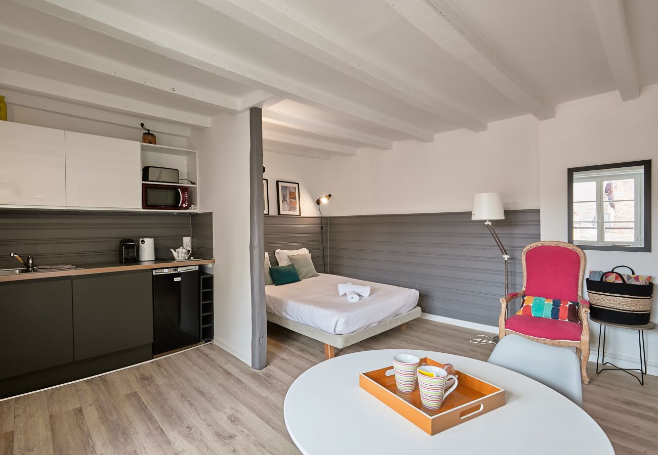 Studio à Annecy - Napoli vieille ville zone pietonne