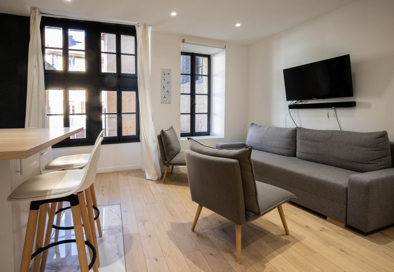 Appartement à Annecy - Petite Venise vue sur le canal romantique