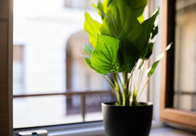 Appartement à Annecy - Esperance rue du paquier Appartement à Annecy - Esperance rue du paquier