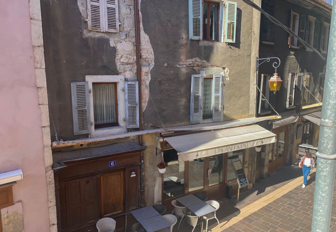 Appartement à Annecy - Chamois vieille ville appareil à raclette