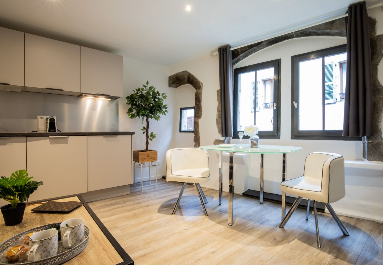 Appartement à Annecy - Chamois vieille ville appareil à raclette