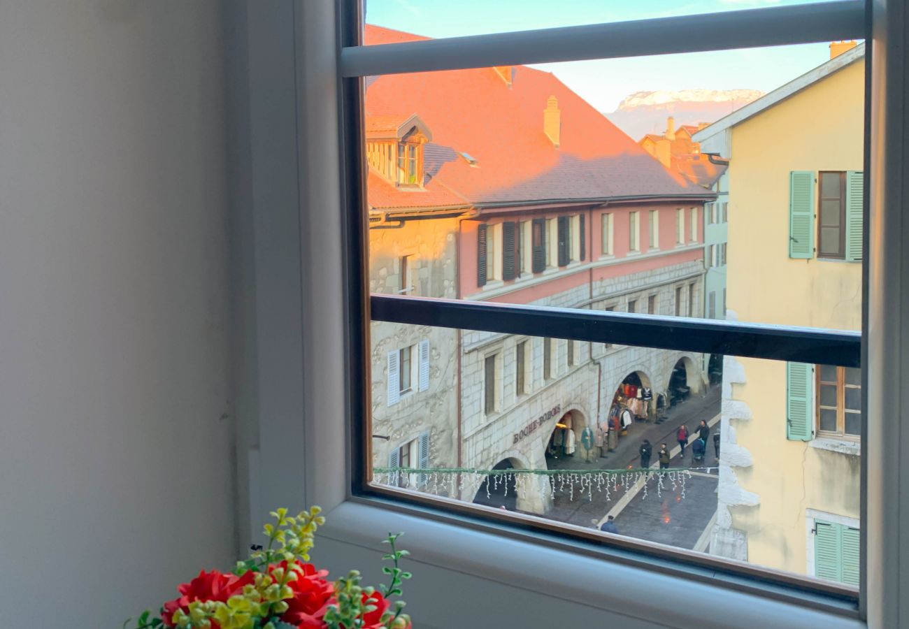 Appartement à Annecy - Mozart place Sainte Claire