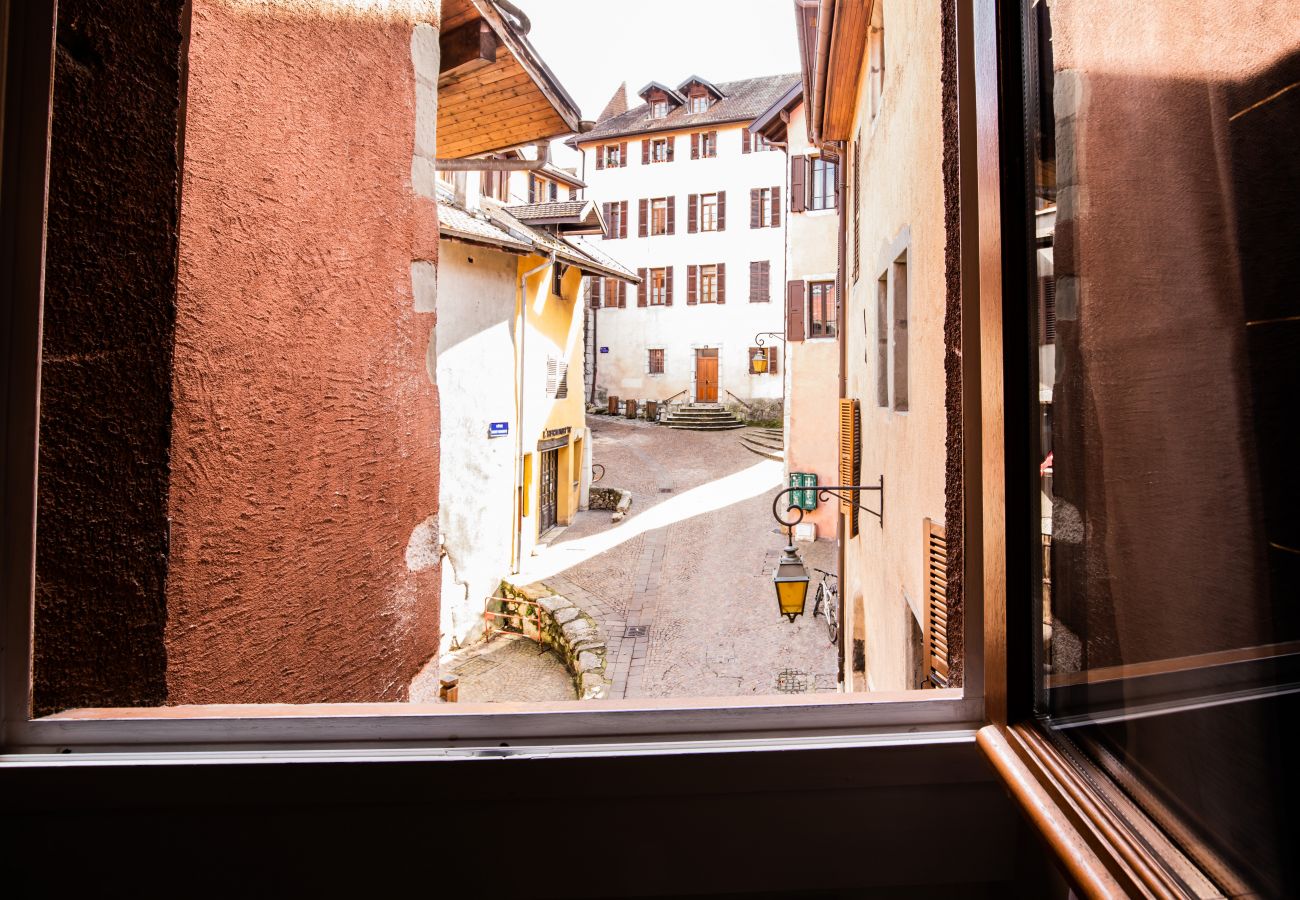 Appartement à Annecy - Duc magnifique place Sainte Claire