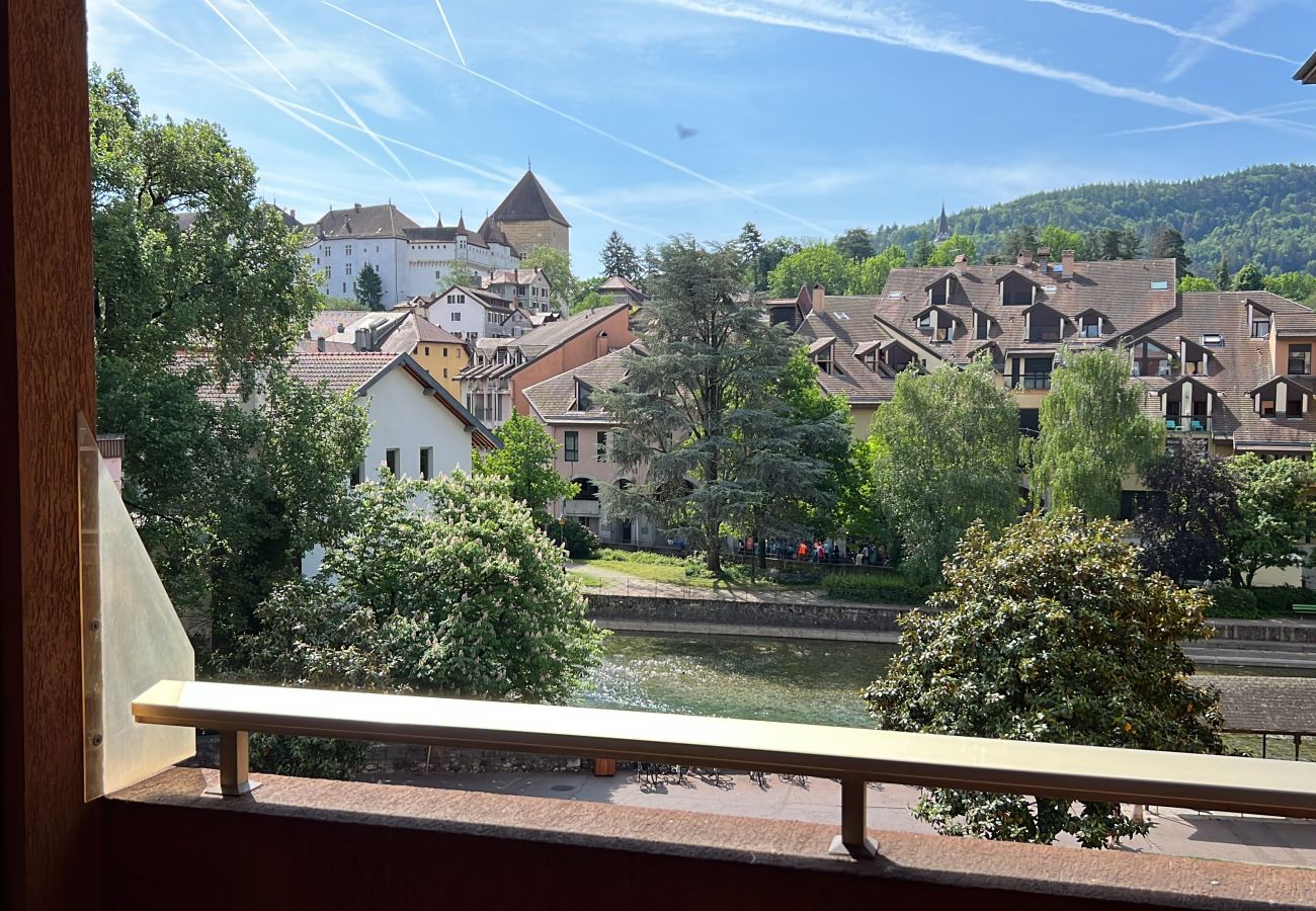 Appartement à Annecy - Paloma vue Château et Thiou