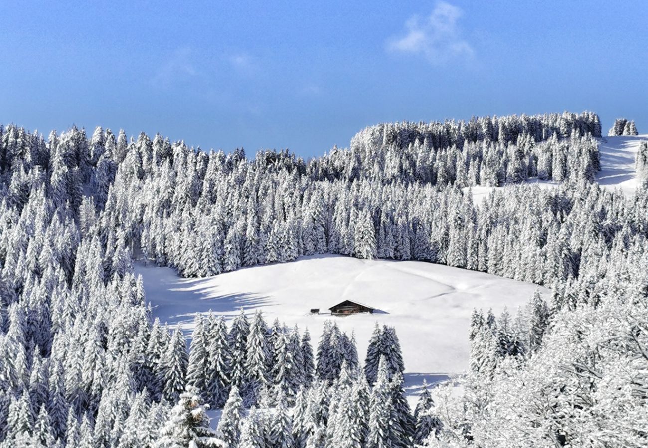 Appartement à Megève - Cimes Megève Mont d'Arbois