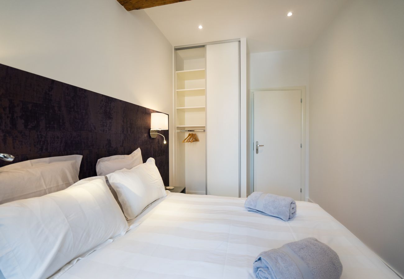 Appartement à Annecy - Olaf, centre historique Annecy