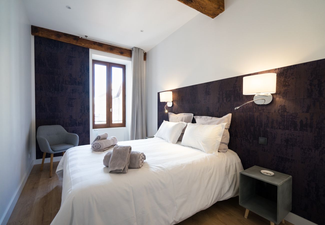 Appartement à Annecy - Olaf, centre historique Annecy