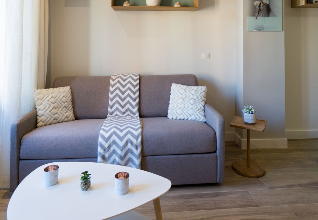 Appartement à Annecy - Olson romantique vieille ville