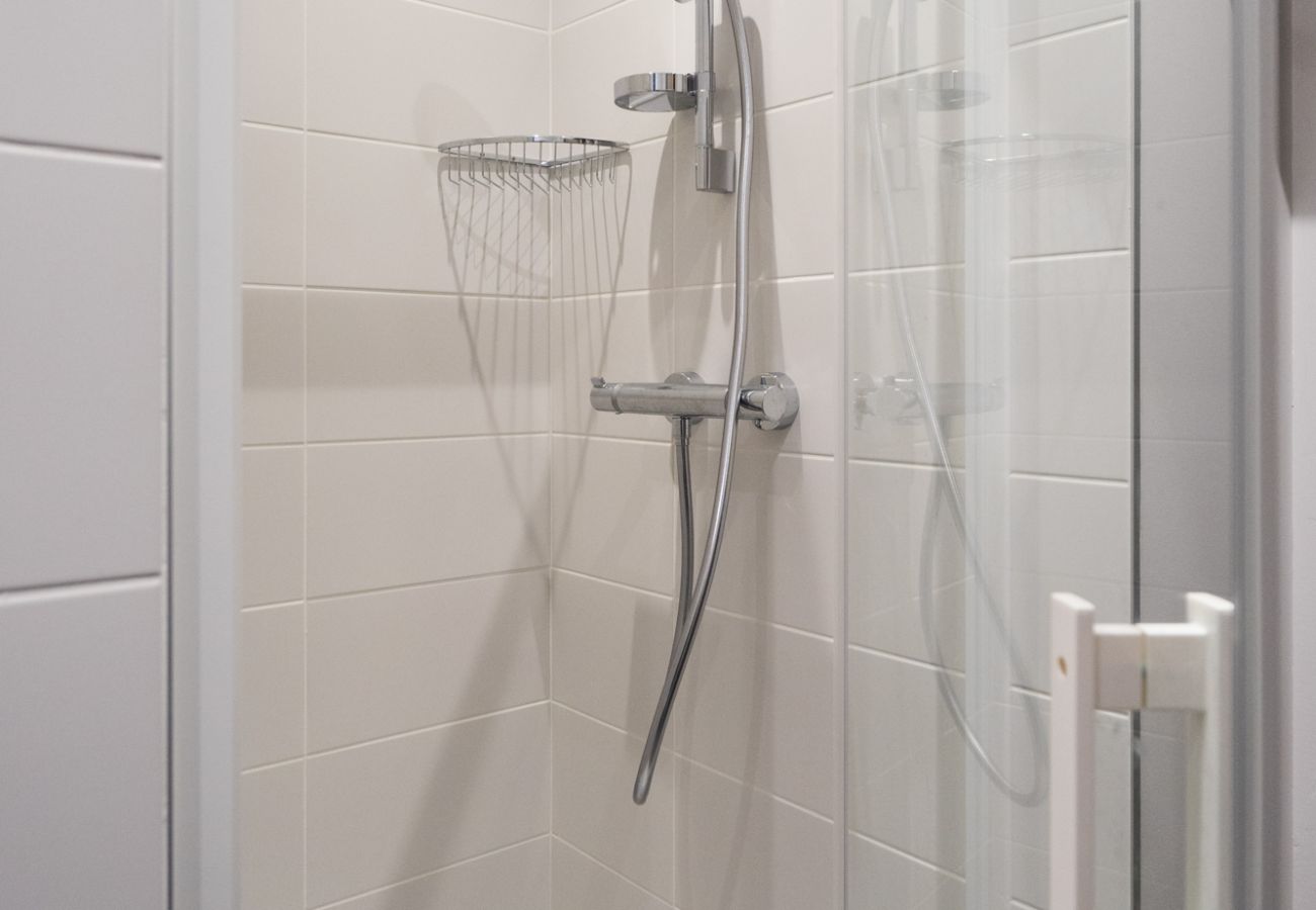 Appartement à Annecy - Olson romantique vieille ville