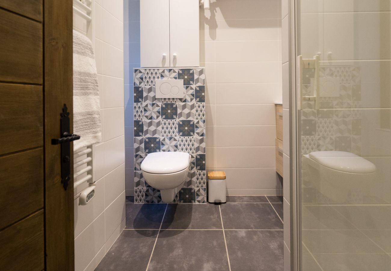 Appartement à Annecy - Olson romantique vieille ville