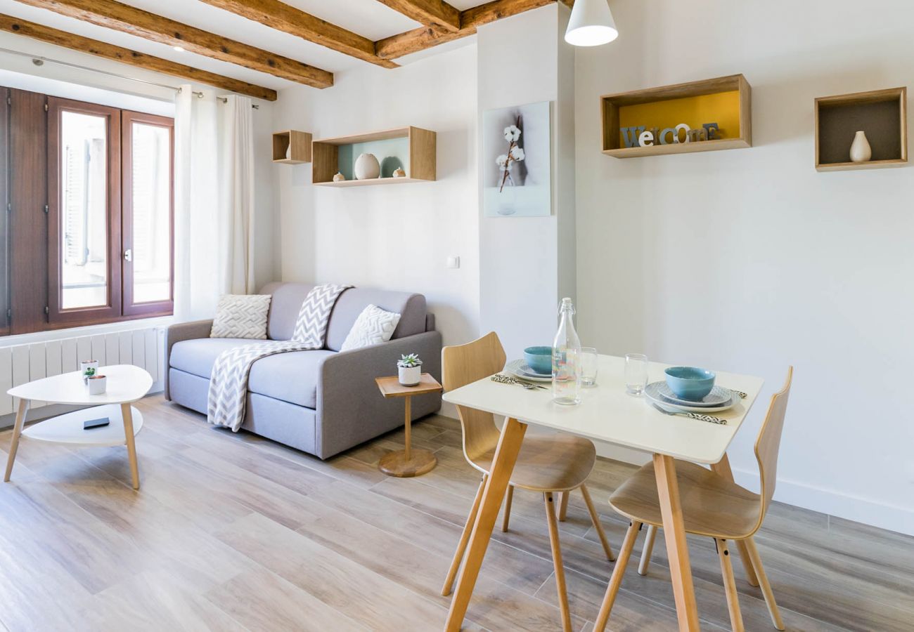 Appartement à Annecy - Olson romantique vieille ville