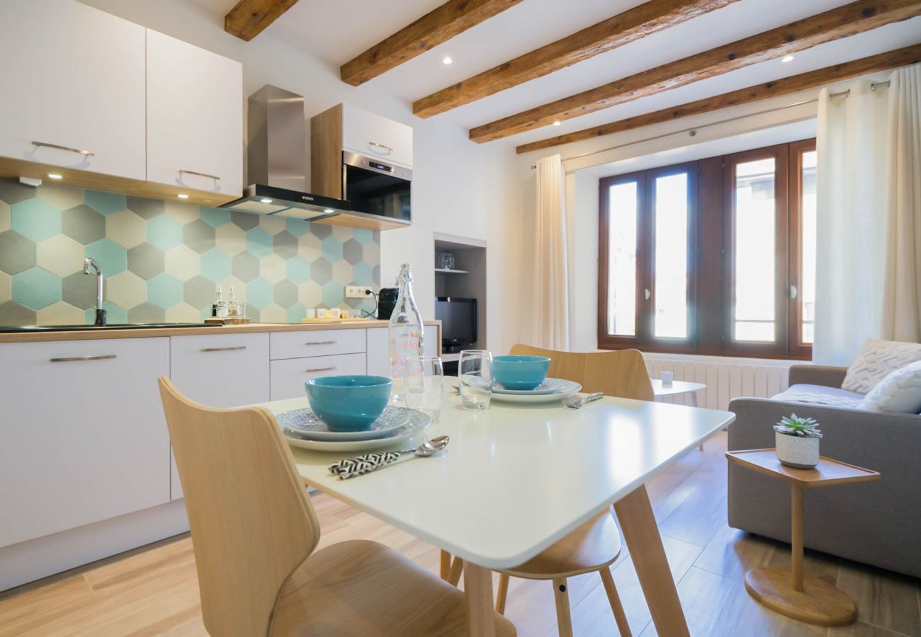 Appartement à Annecy - Olson romantique vieille ville