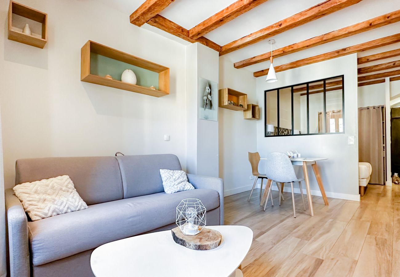 Appartement à Annecy - Olson romantique vieille ville