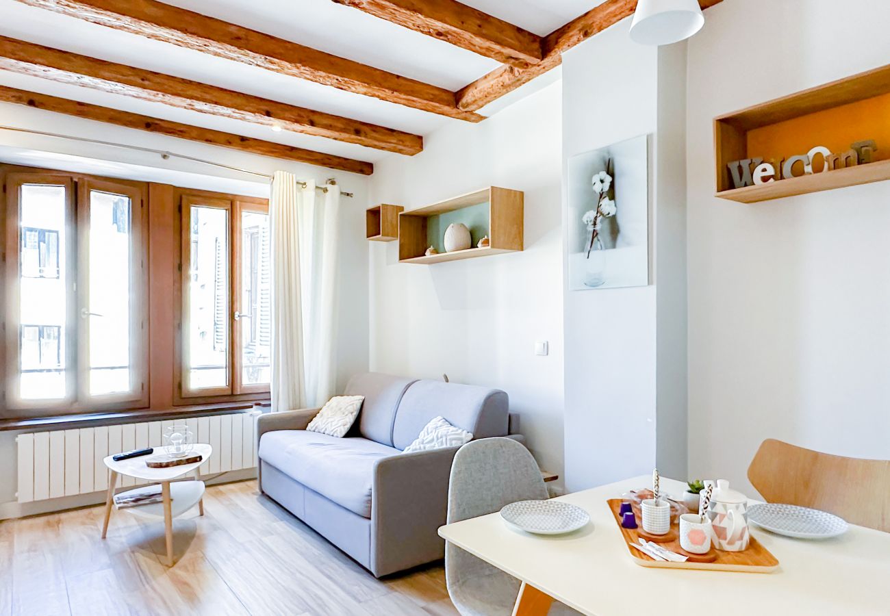Appartement à Annecy - Olson romantique vieille ville