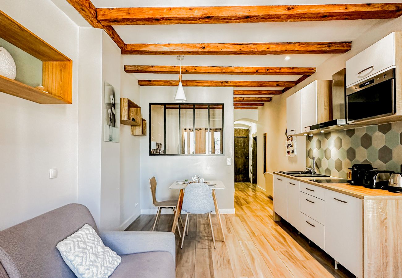 Appartement à Annecy - Olson romantique vieille ville