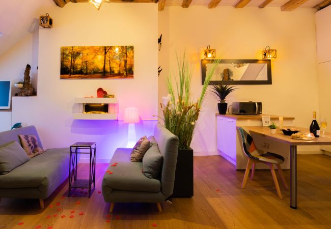 Appartement à Annecy - Love island romantique rue carnot Appartement à Annecy - Love island romantique rue carnot