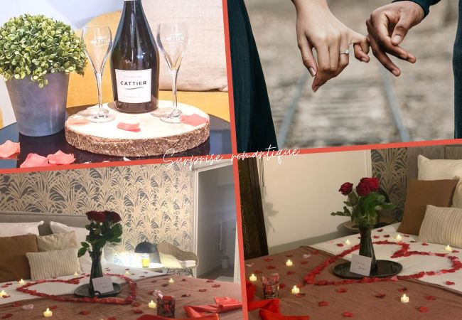 Studio à Annecy - Nid du lac bonlieu Studio à Annecy - Nid du lac bonlieu