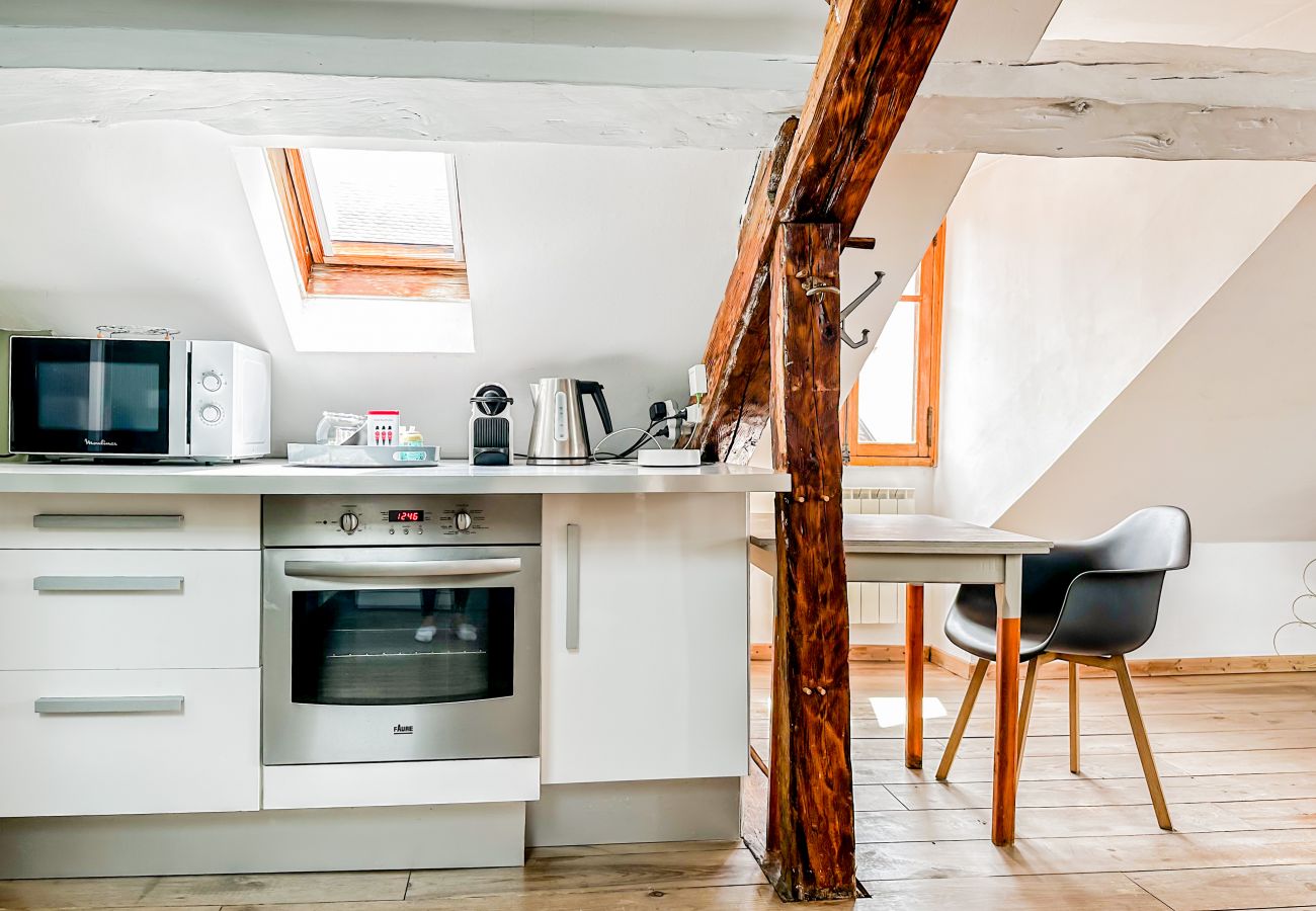 Appartement à Annecy - Grandiose vieille ville