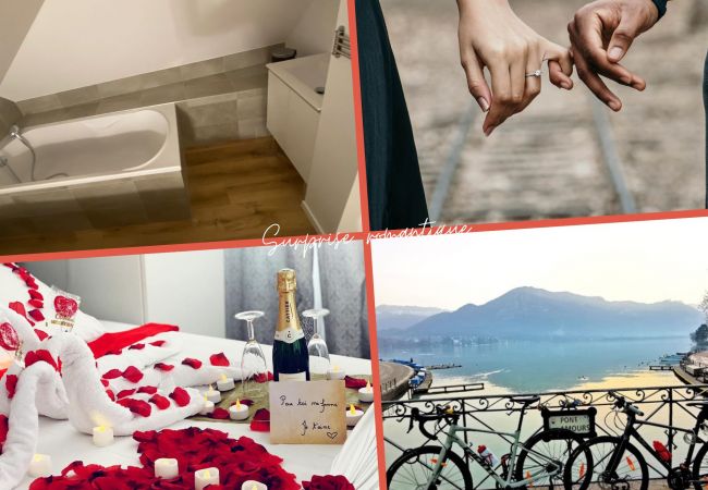 Appartement à Annecy - Rainbow rue carnot 4 adultes et 1 enfant Appartement à Annecy - Rainbow rue carnot 4 adultes et 1 enfant