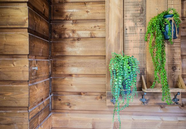 Appartement à Annecy - Rainbow rue carnot 4 adultes et 1 enfant Appartement à Annecy - Rainbow rue carnot 4 adultes et 1 enfant