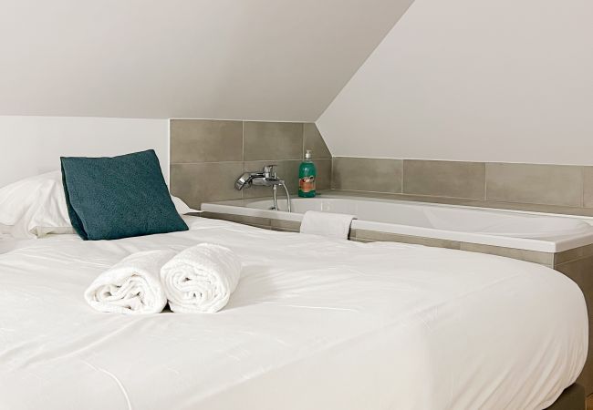 Appartement à Annecy - Rainbow rue carnot 4 adultes et 1 enfant Appartement à Annecy - Rainbow rue carnot 4 adultes et 1 enfant